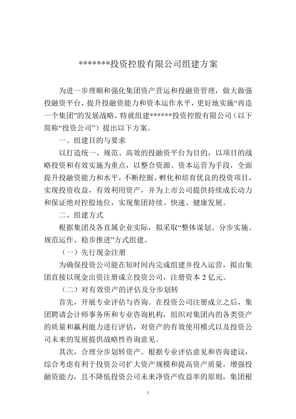投资公司组建方案_第1页