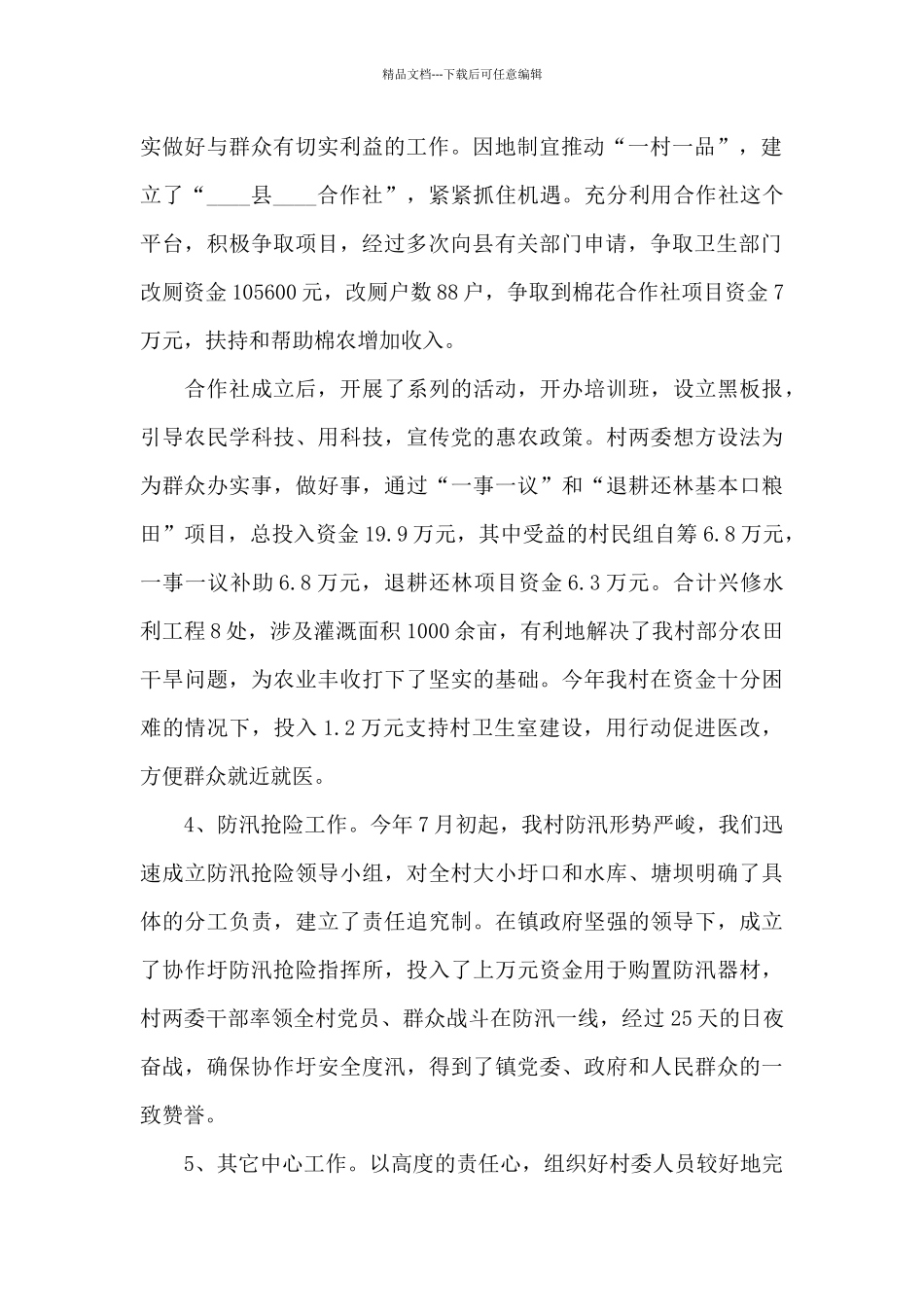 村主任工作述职报告_第2页