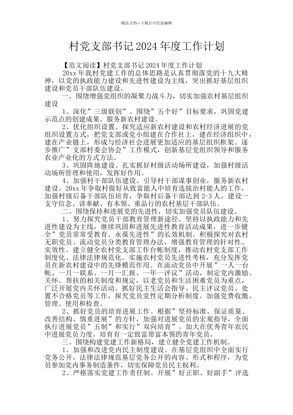 村党支部书记2024年度工作计划_第1页