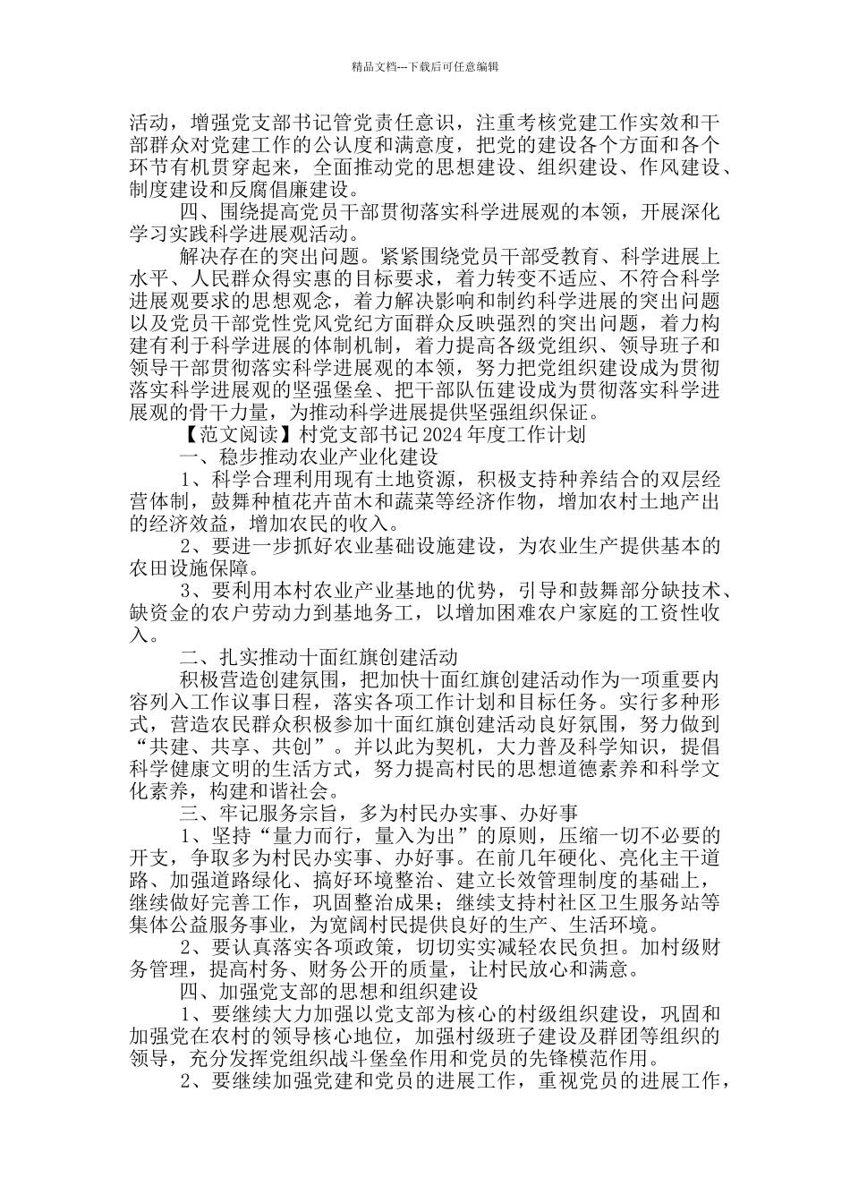村党支部书记2024年度工作计划_第2页