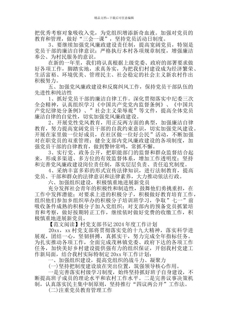 村党支部书记2024年度工作计划_第3页