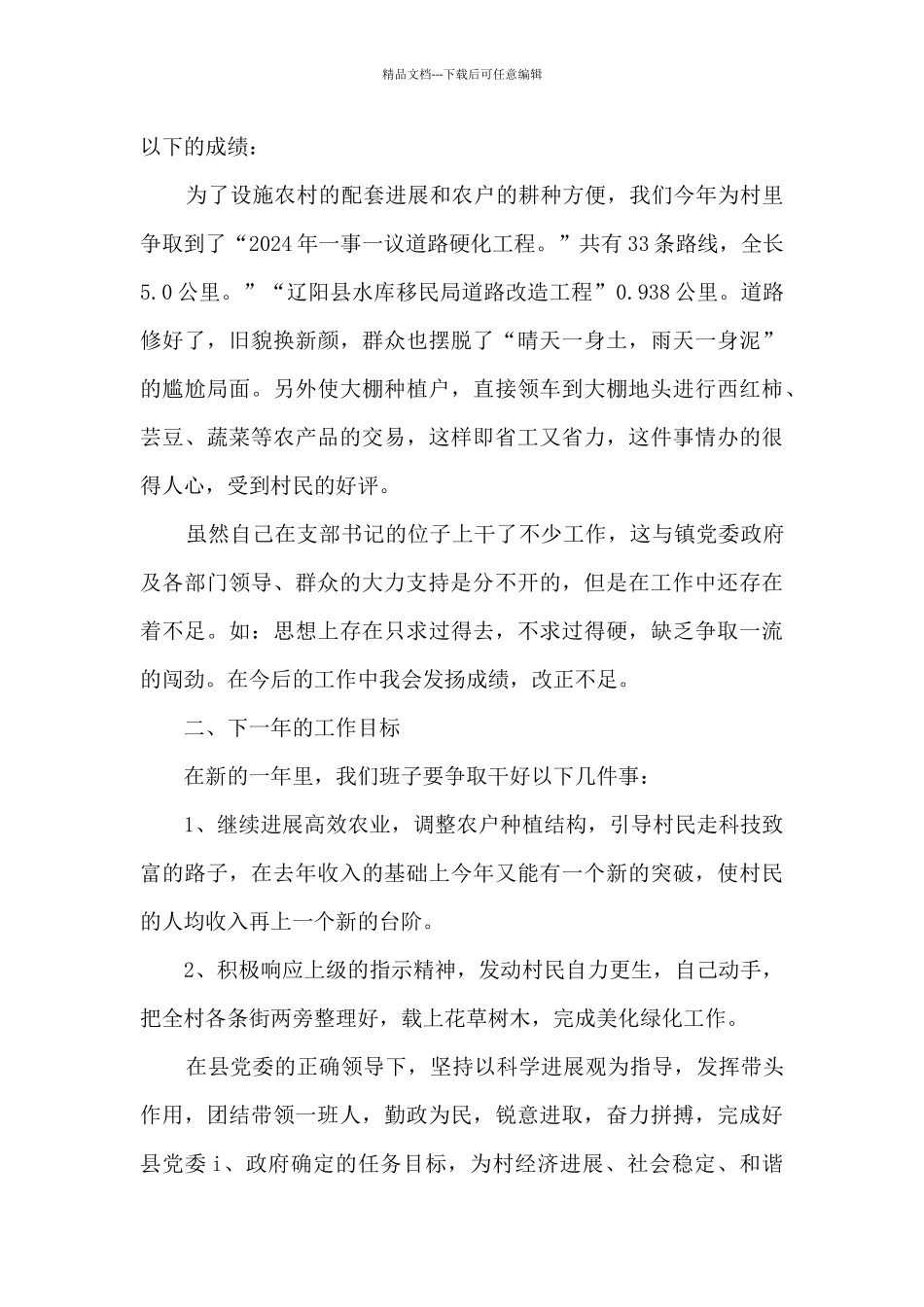 村党支部书记个人述职报告_第2页