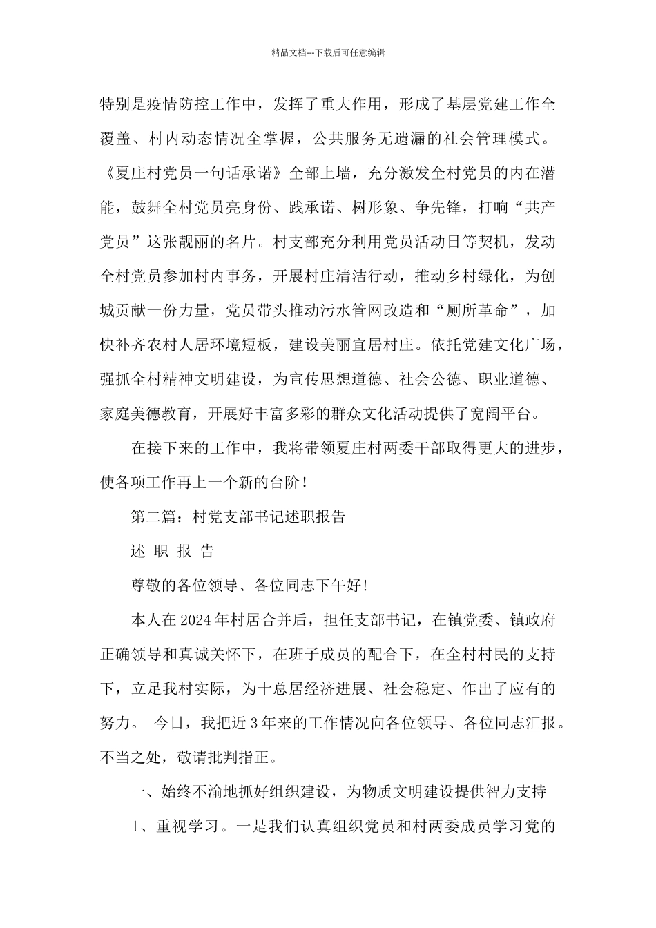 村党支部书记述职报告_第3页