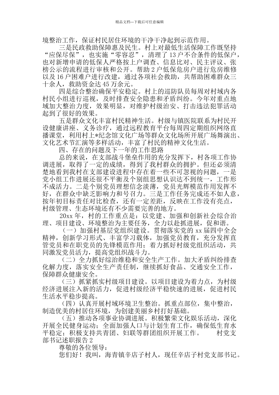 村党支部书记述职报告合集五篇_第3页