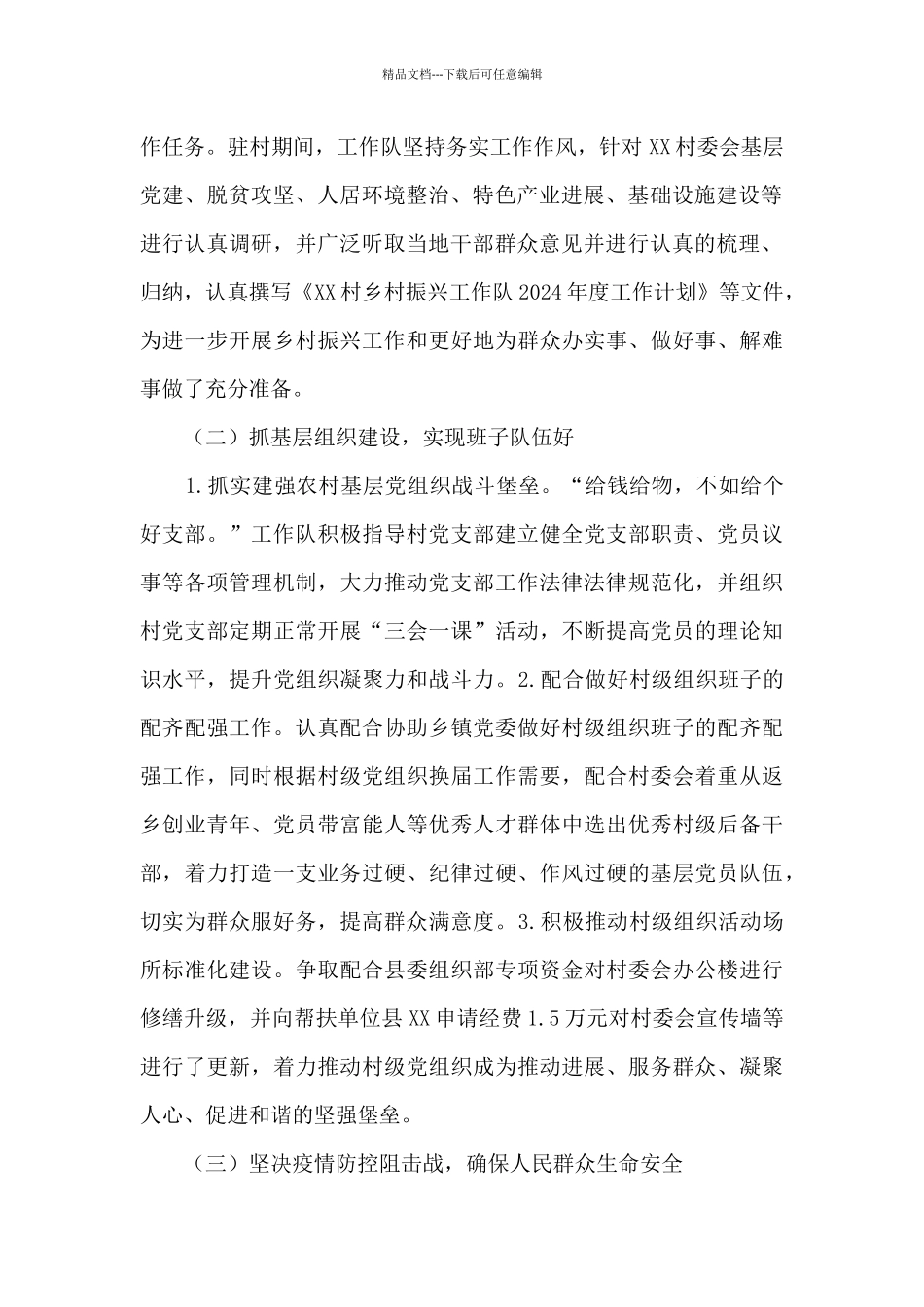 村委会乡村振兴工作队2024年工作总结_第2页