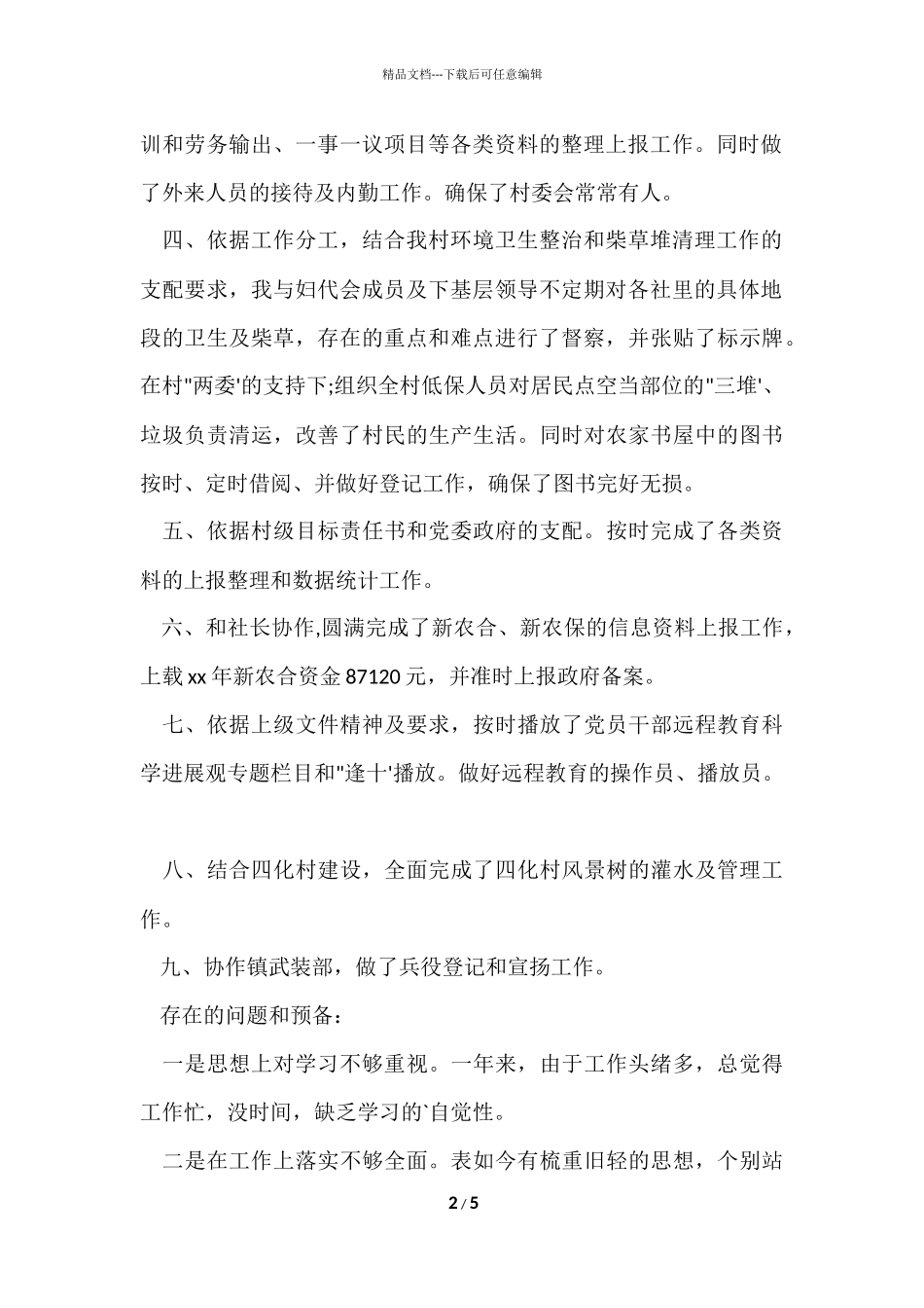 村文书年终述职报告_第2页