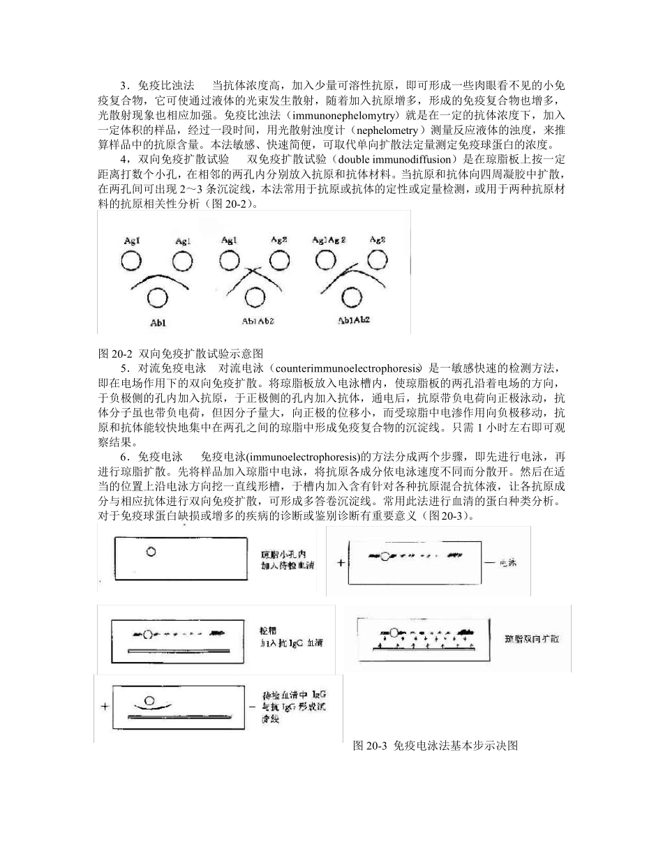 抗原或抗体的检测方法概述_第3页