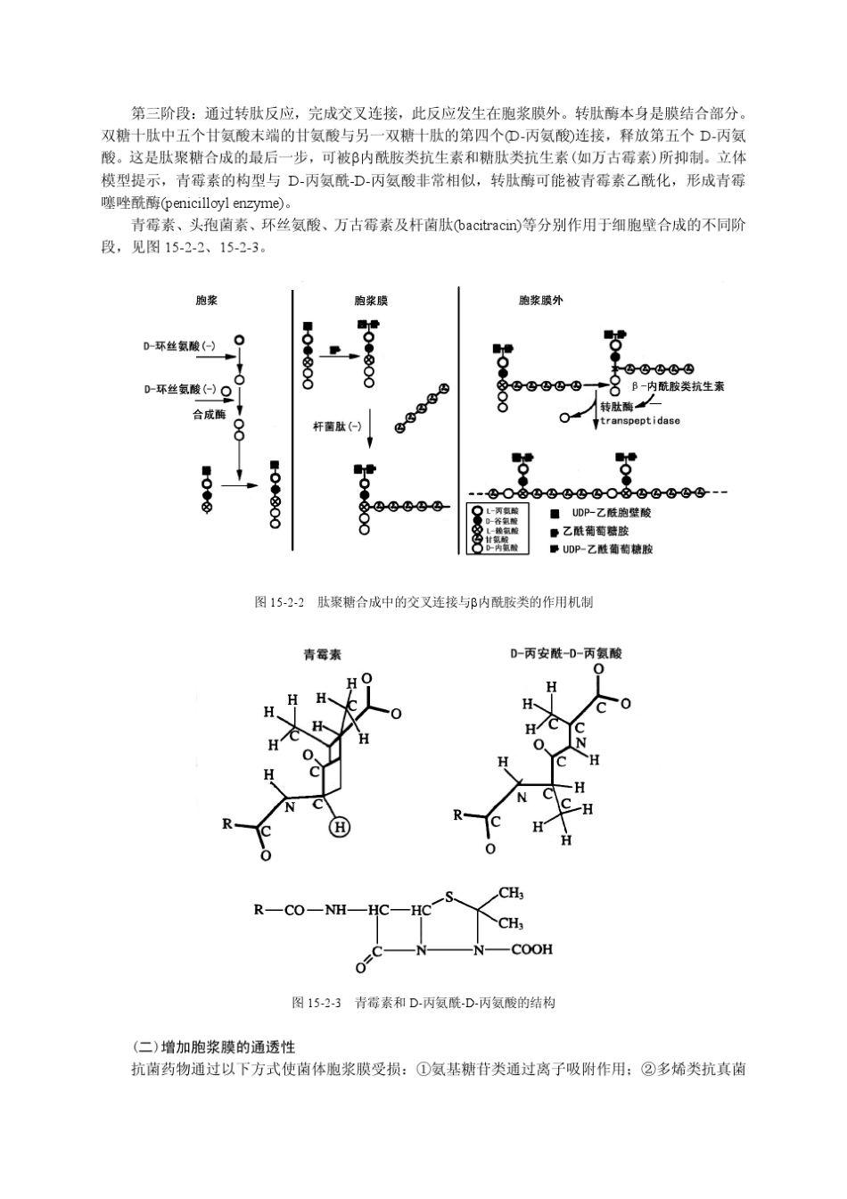 抗感染药介绍_第3页