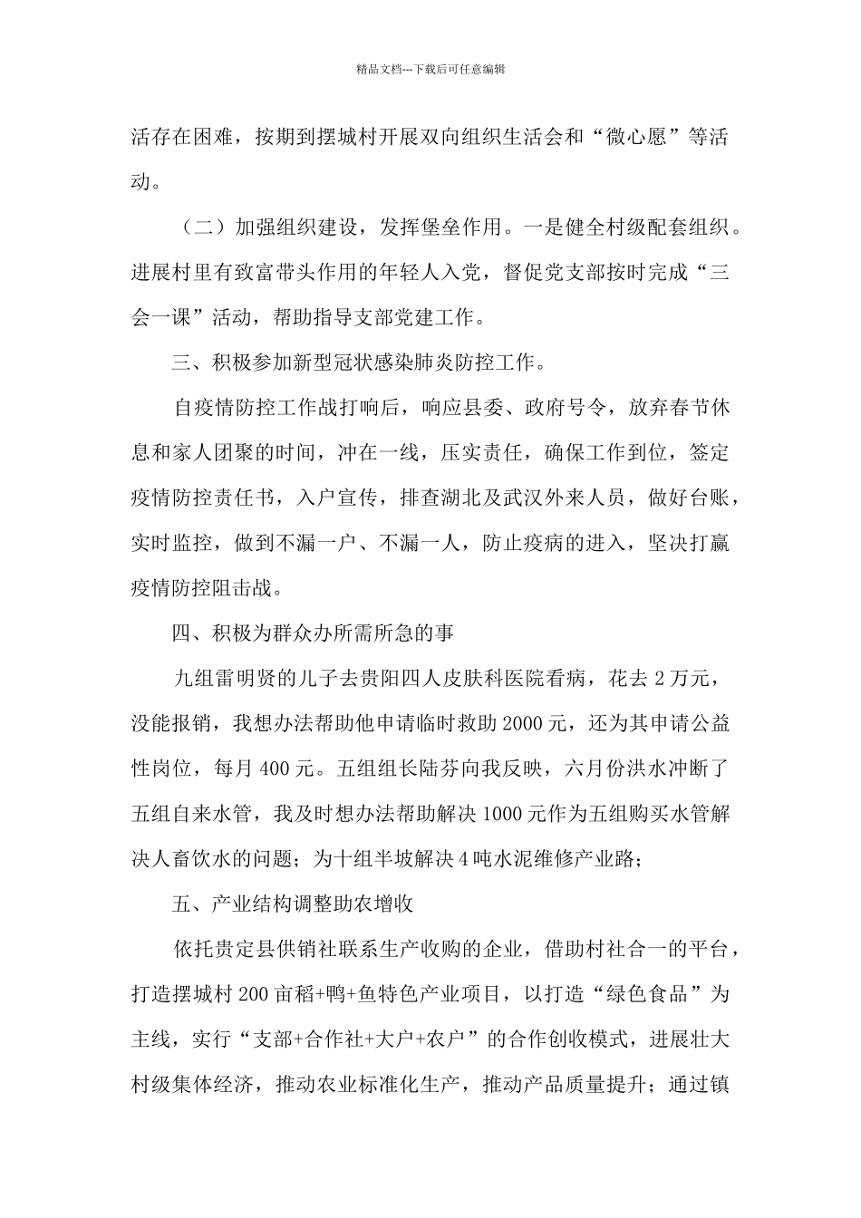 村第一书记个人工作总结_第2页