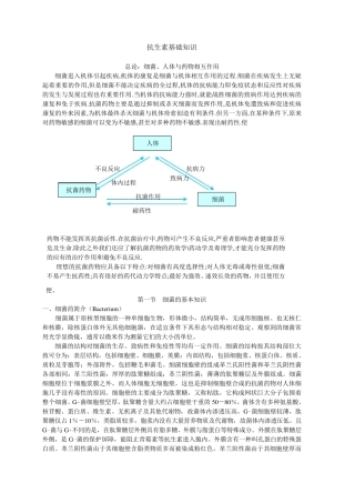 抗生素基础知识