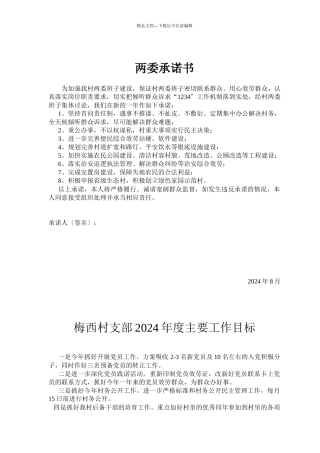 村级组织建设材料