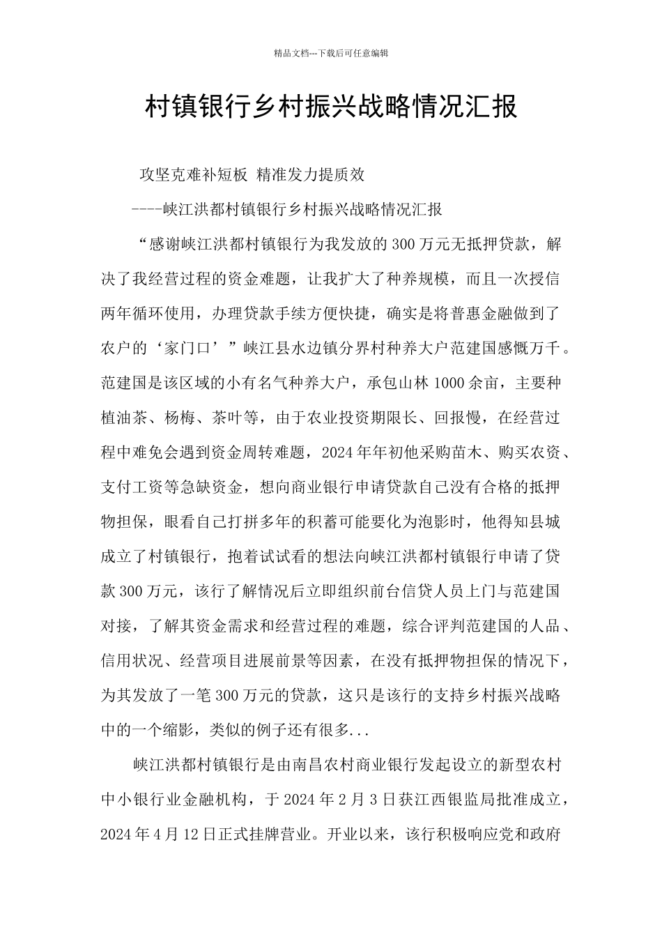 村镇银行乡村振兴战略情况汇报_第1页