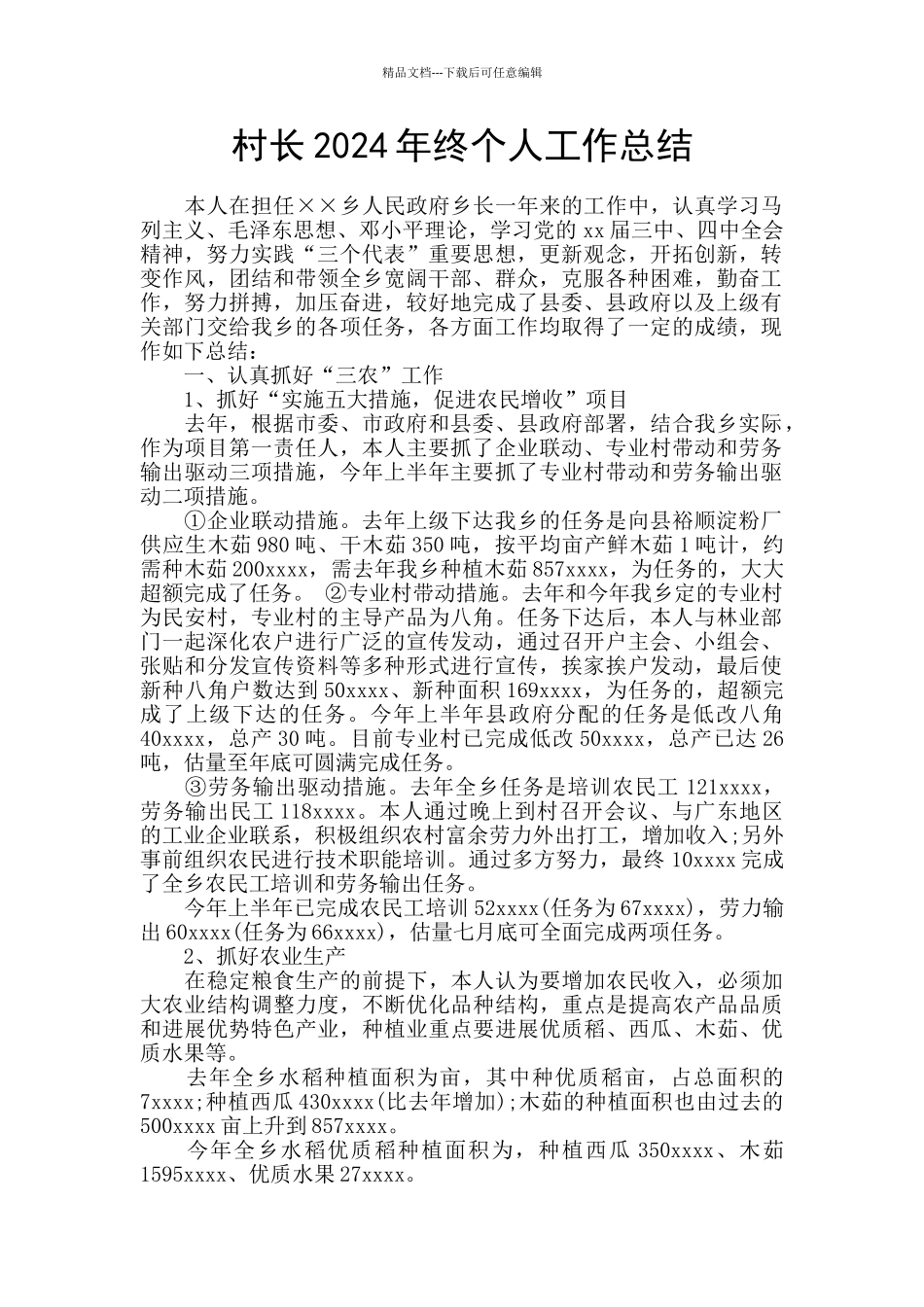 村长2024年终个人工作总结_第1页