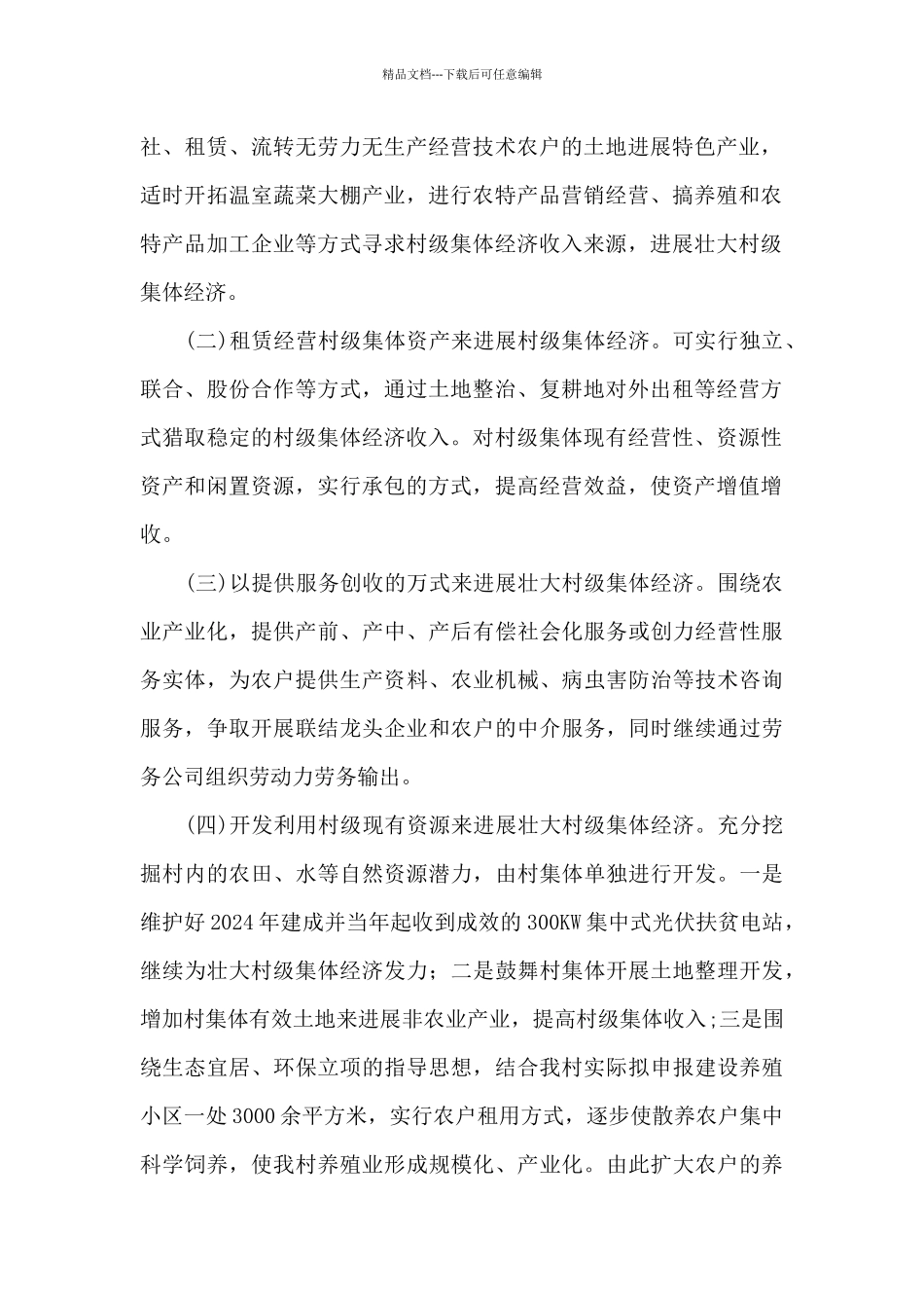 村集体经济发展规划_第2页