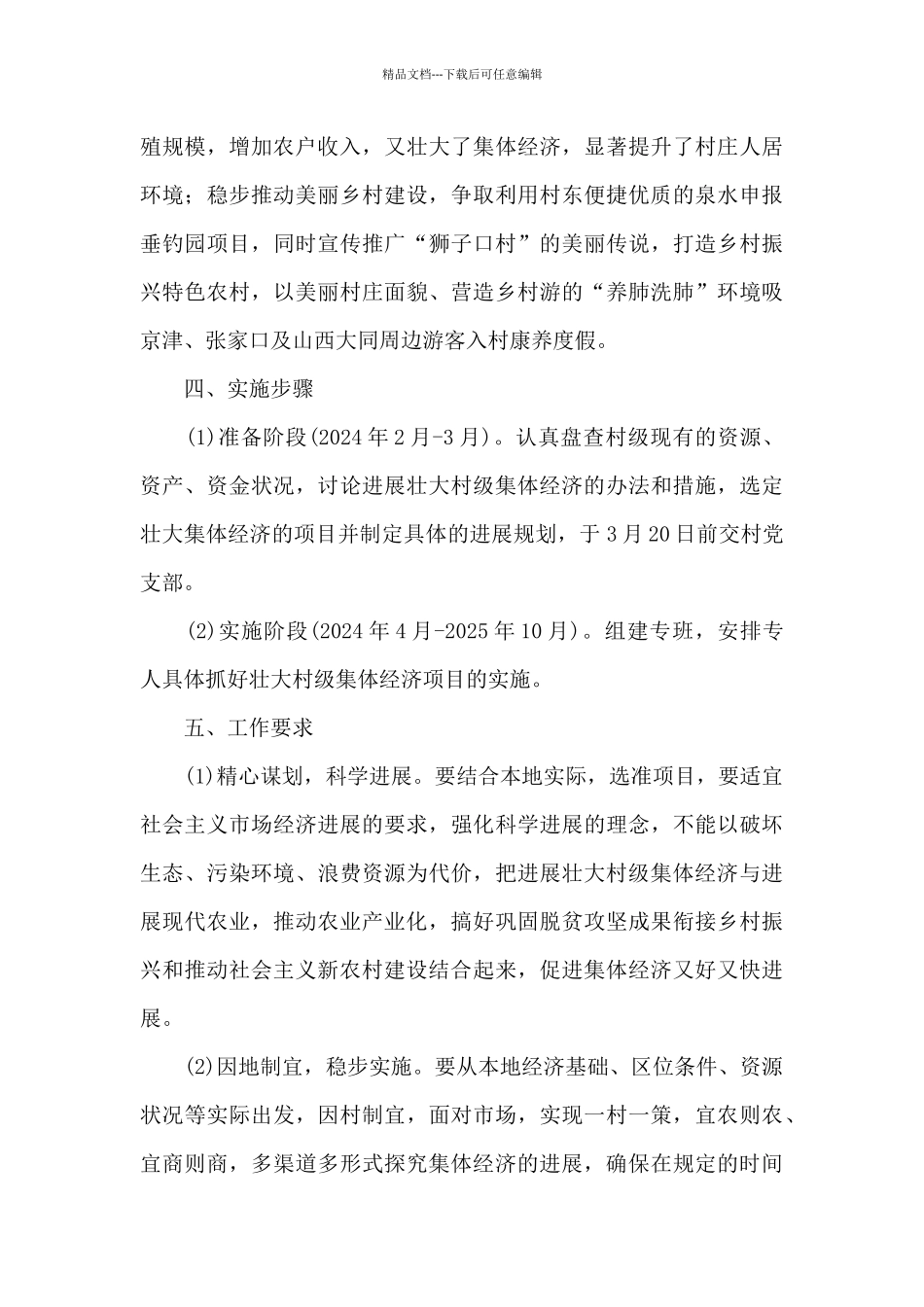 村集体经济发展规划_第3页