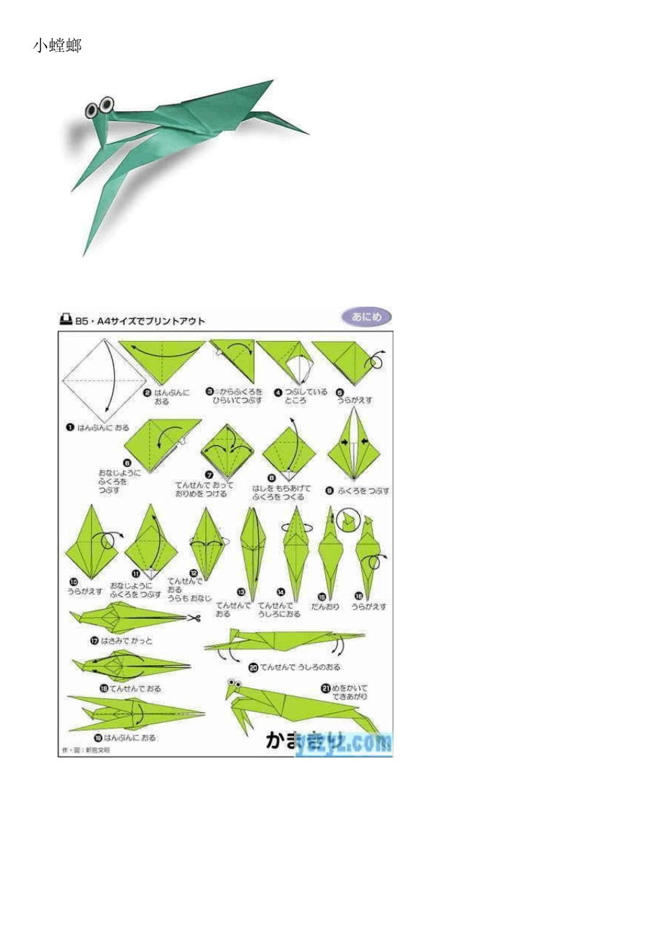 折纸大全动物和植物_第3页
