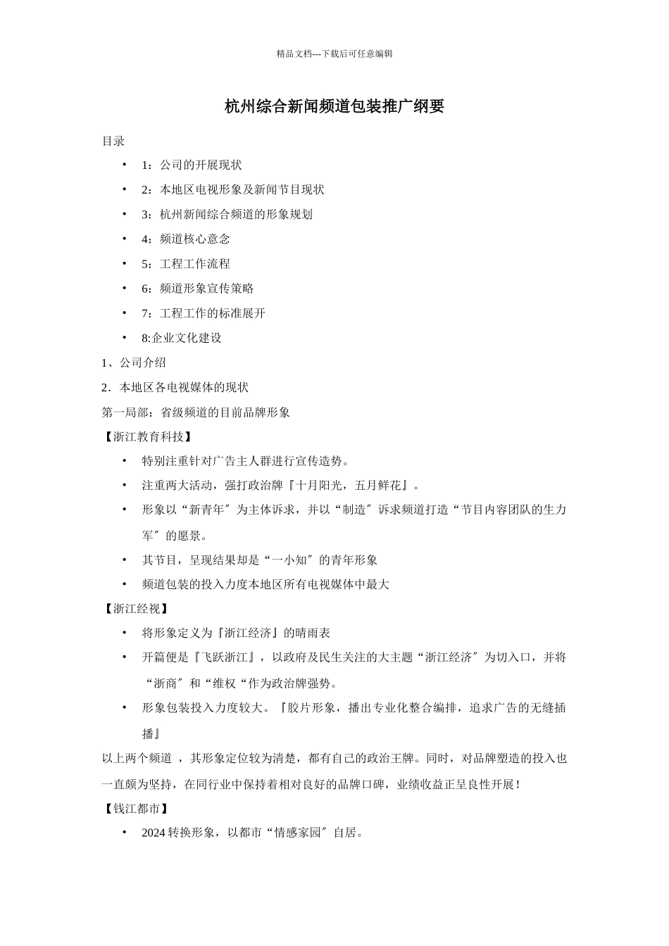 杭州综合新闻频道包装推广纲要_第1页