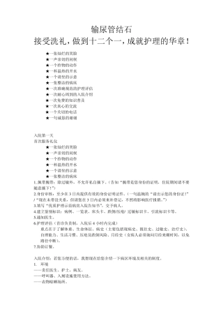 护理一病一品