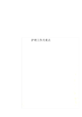 护理工作月重点