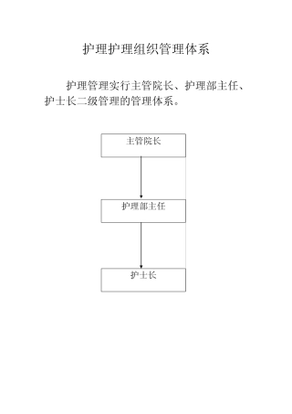 护理组织管理体系