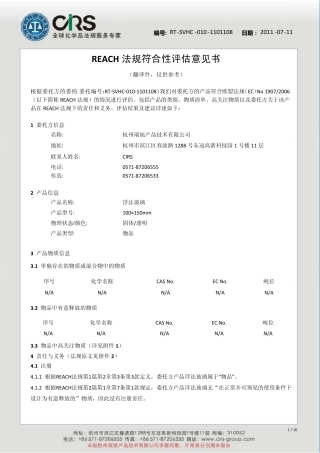 报告模板中文(reach)