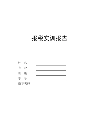 报税实训报告