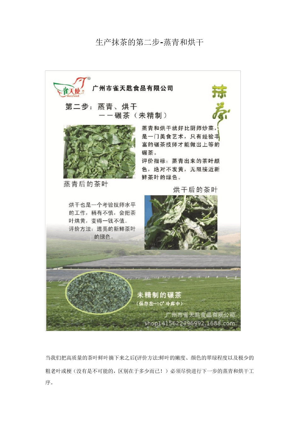 抹茶生产工艺介绍第二步：蒸青和烘干(碾茶的制作)_第1页
