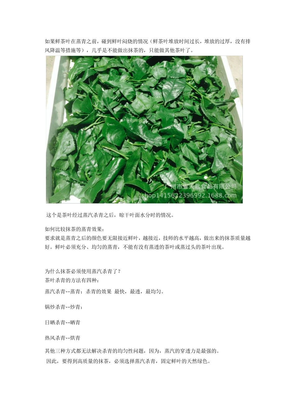 抹茶生产工艺介绍第二步：蒸青和烘干(碾茶的制作)_第3页