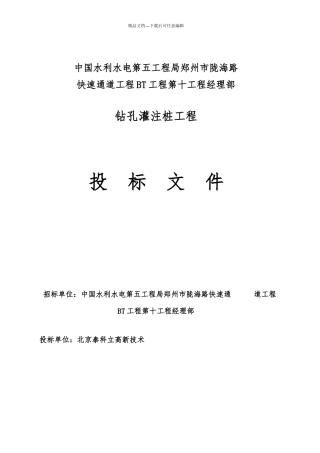 某公司十标灌注桩投标文件