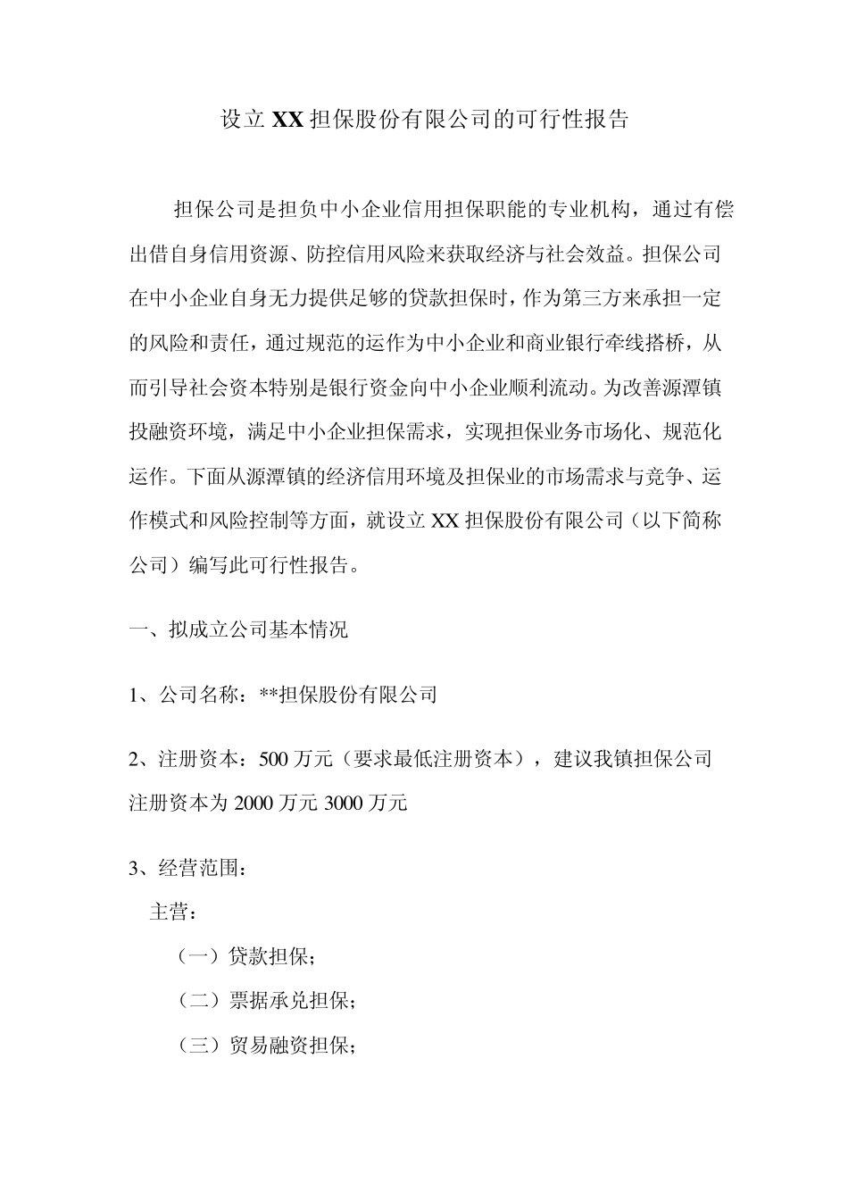 担保公司可行性报告_第1页
