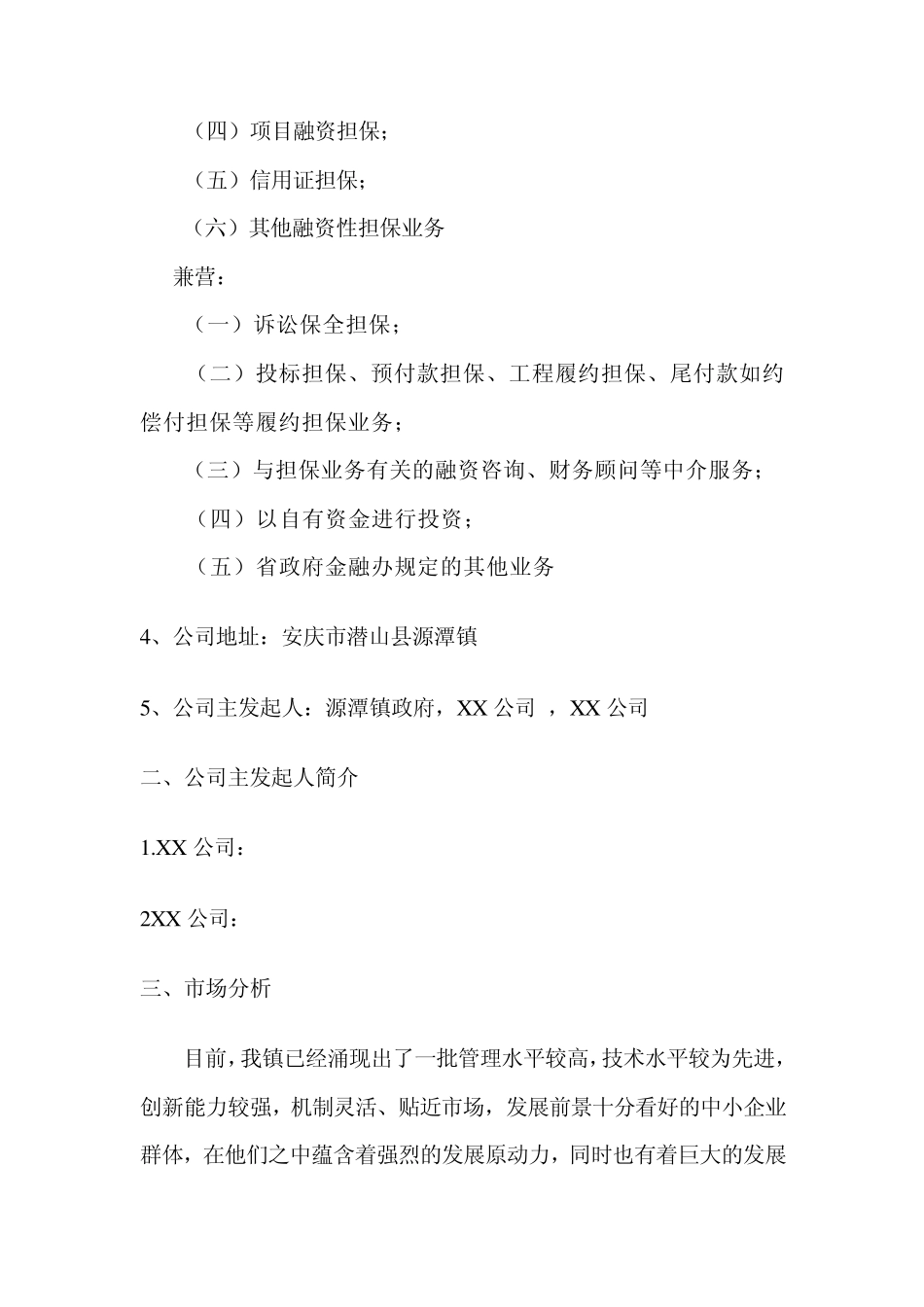担保公司可行性报告_第2页