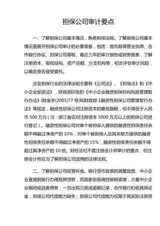 担保公司审计要点