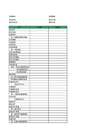 担保类新准则2007版资产负债表