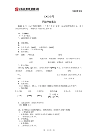 担保风险控制报告简单模板