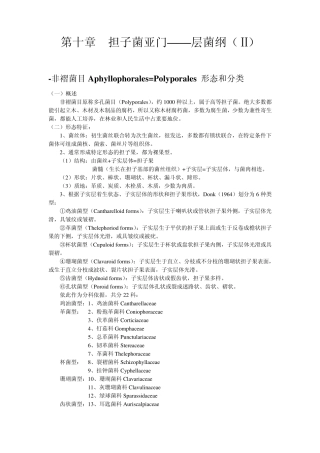 担子菌亚门层菌纲()