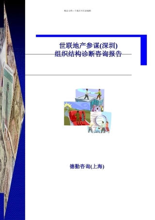 某公司组织结构诊断咨询报告
