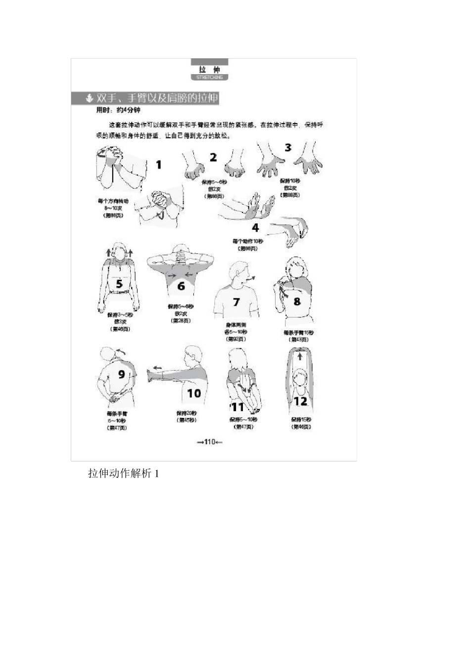 拉伸运动大全_第3页