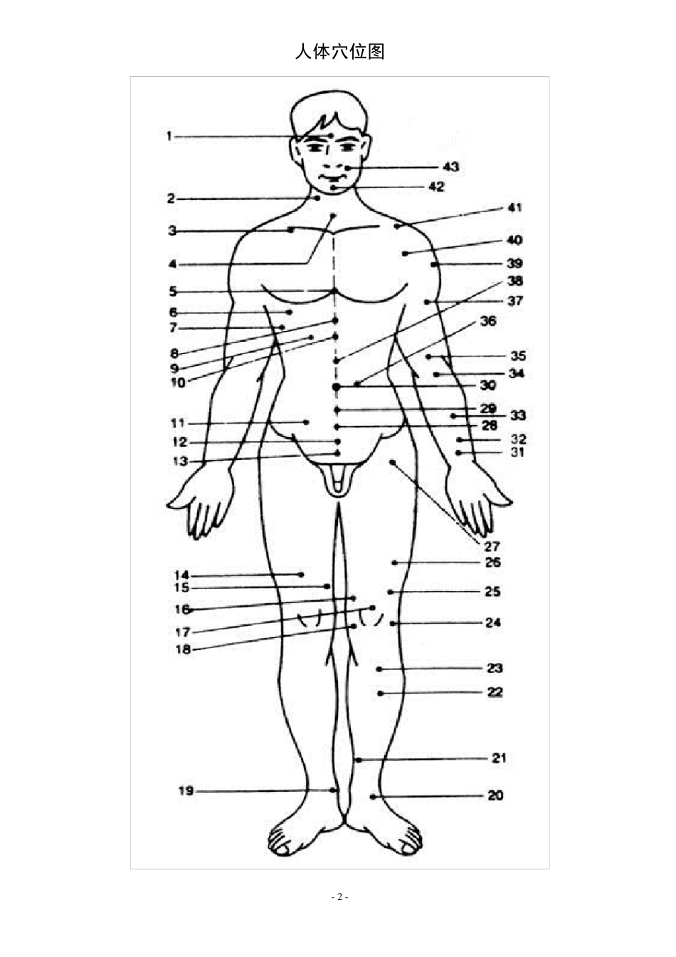 拔火罐_人体背部穴位图_中医疗法主病症和选穴_第2页