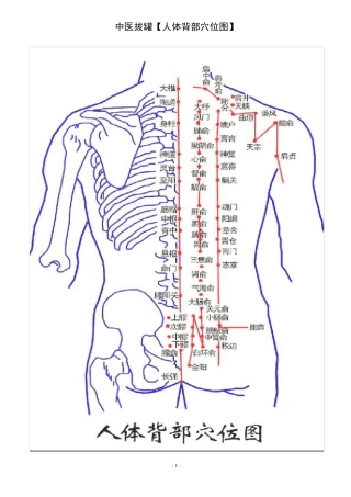 拔火罐_人体背部穴位图_中医疗法主病症和选穴