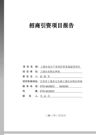 招商引资项目报告