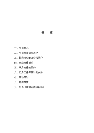 招商项目商业计划书