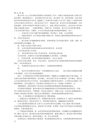 招投标代理整改报告