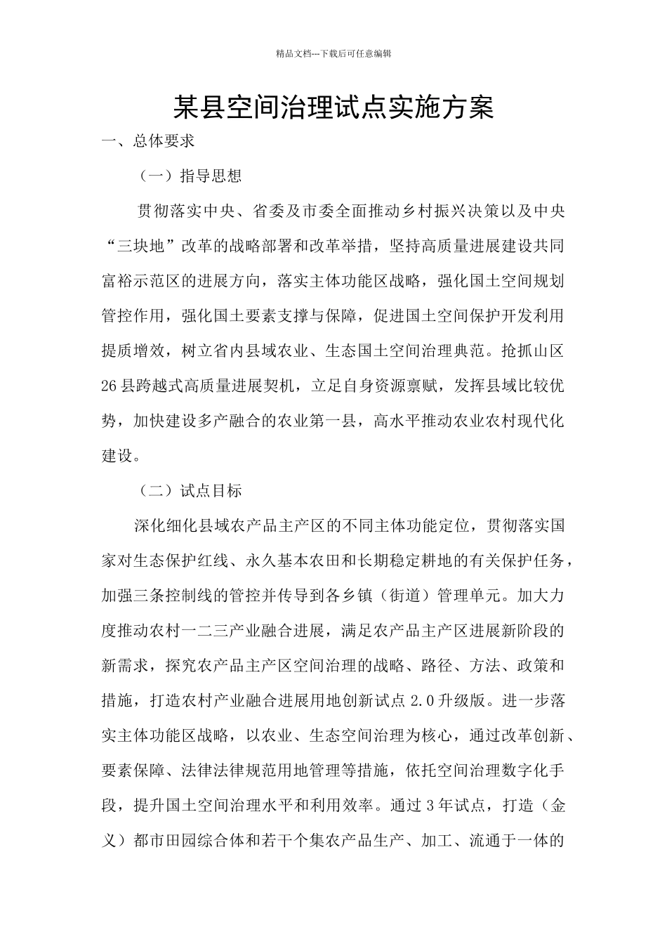 某县空间治理试点实施方案_第1页