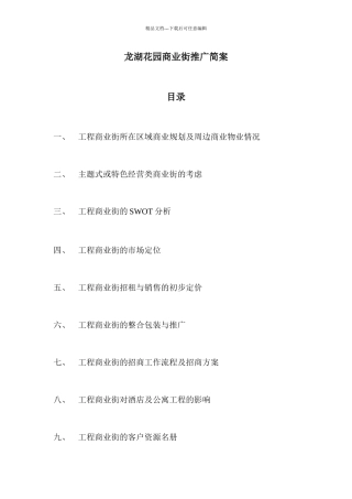 某商业街招商策划方案