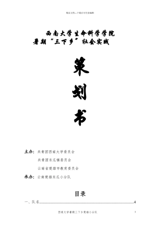某大学三下乡云南楚雄小分队活动策划方案
