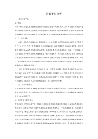 持股平台分析