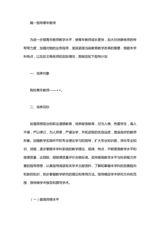 指导青年教师个人工作计划