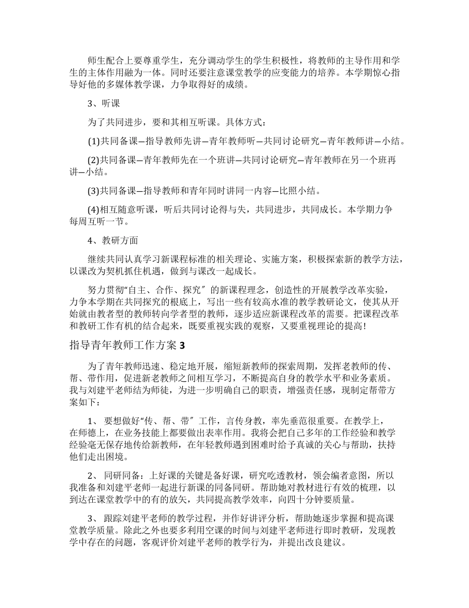指导青年教师工作计划_第3页