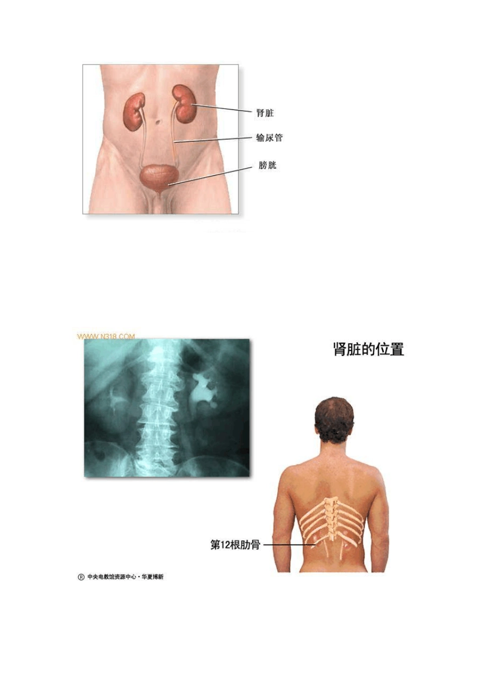 按摩后背精力百倍_第3页