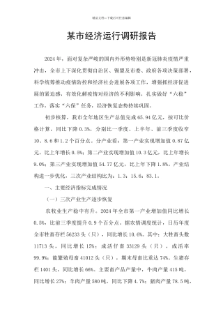 某市经济运行调研报告